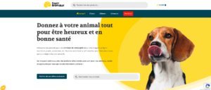 De klantervaring op een website